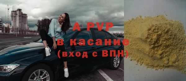 индика Нея