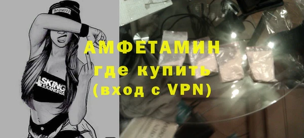 индика Нея