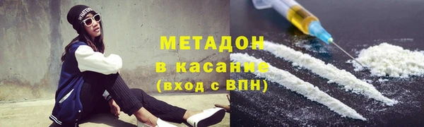 индика Нея