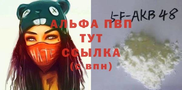дживик Бежецк