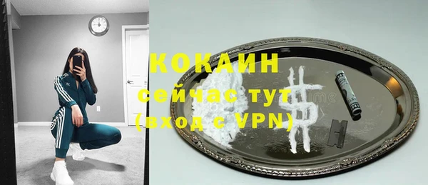 прущие грибы Новозыбков