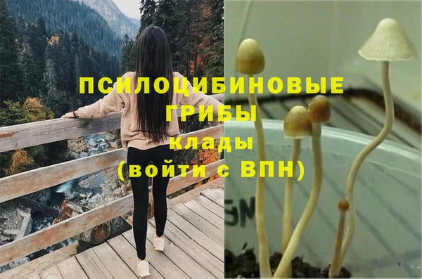 ALPHA-PVP Новодвинск