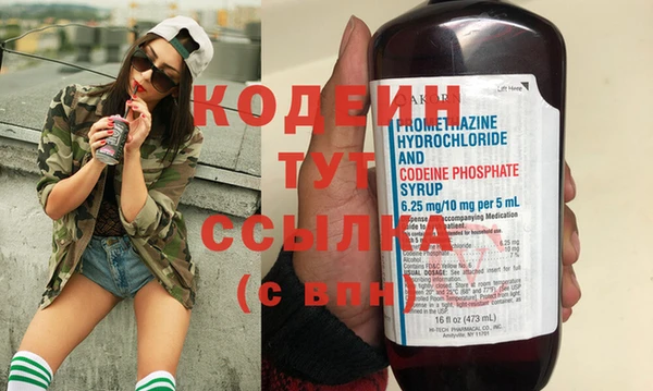индика Нея