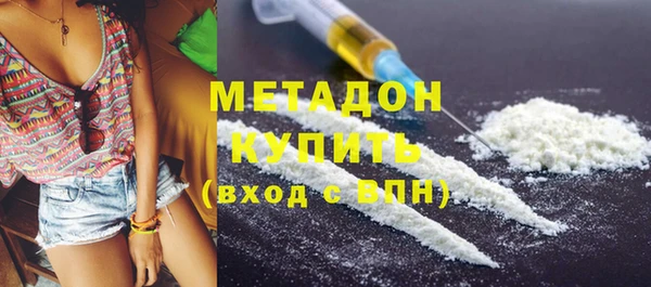 индика Нея