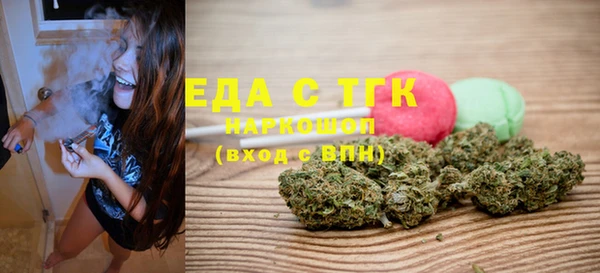 прущие грибы Новозыбков