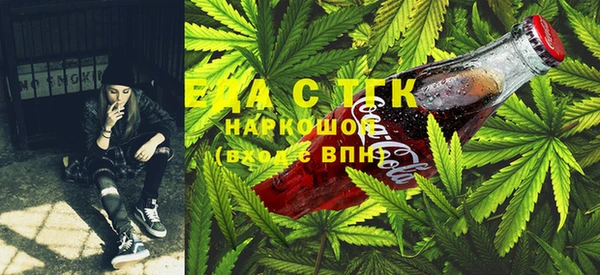 индика Нея