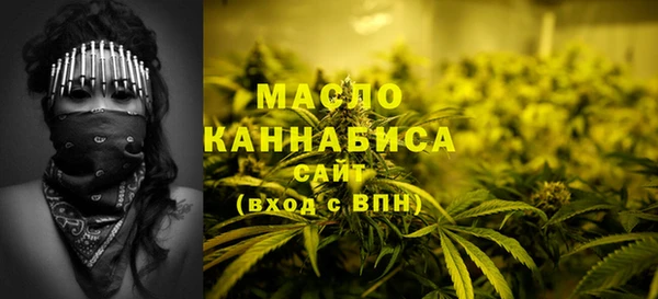индика Нея