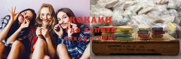 индика Нея