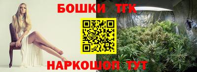 стафф Кандалакша
