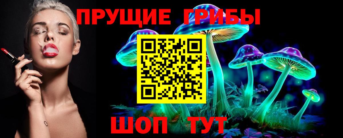Мурманск  Псилоцибиновые грибы Psilocybe  Вход с VPN 