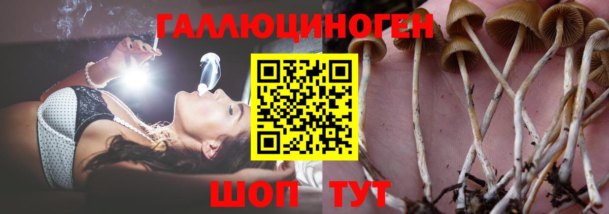 Псилоцибиновые грибы MAGIC MUSHROOMS  Галлюциногенные грибы мицелий  Мурманск 